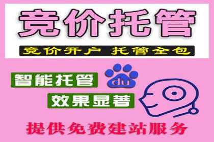 探索sem公司的策略与效果